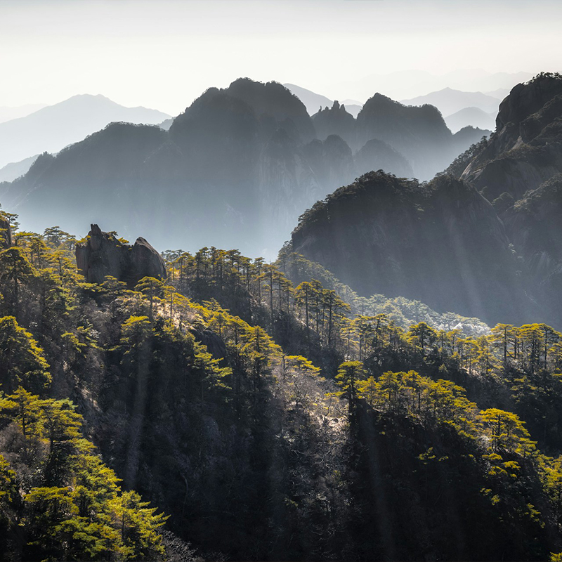 Acron Hotels Legacy Trusted Homes, We Craft Goa’s Most Loved Experiences