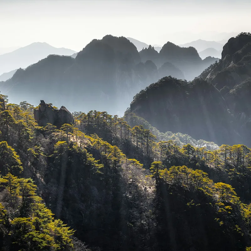 Acron Hotels Legacy Trusted Homes, We Craft Goa’s Most Loved Experiences